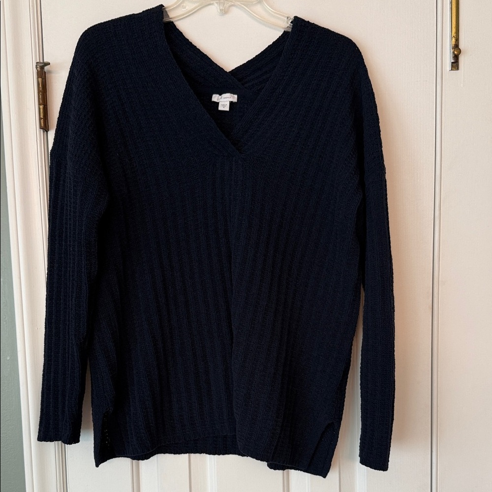 J. Jill Deep Blue V-Neck Sweater